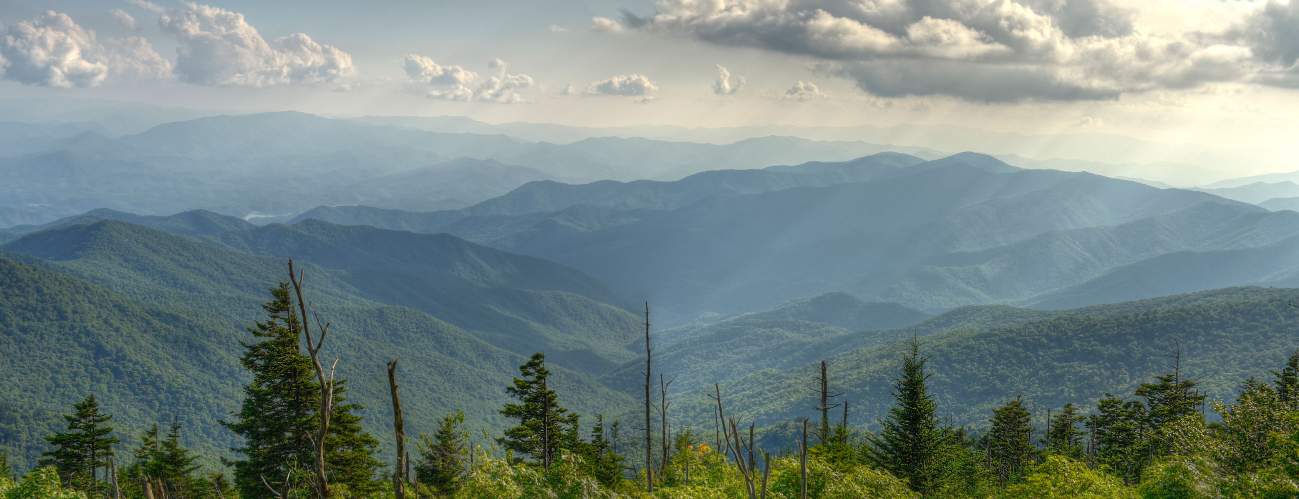 DEE ENTERPRISE DEE ENTERPRISE